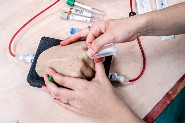 Gabe I.V Task Trainer