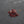 Intestines