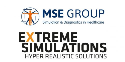A Collaboration between MSE Group and Extreme Simulations